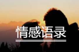 肃南婚外情调查取证：涉外离婚案件中需提交的材料